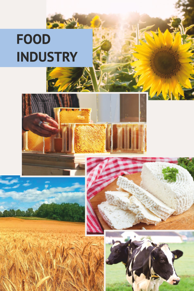 export catalog англ-006