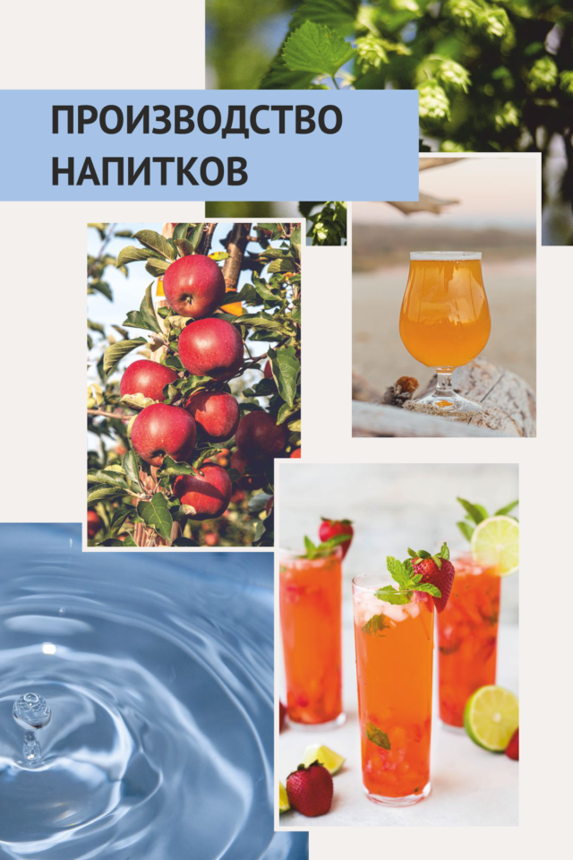 export catalog русский кривые-018