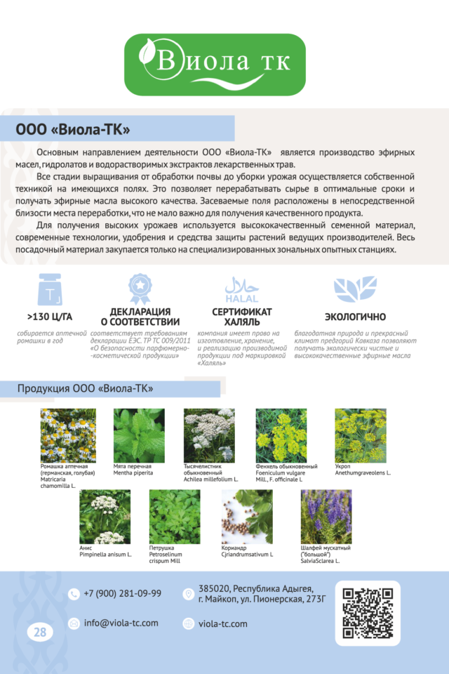 export catalog русский кривые-029